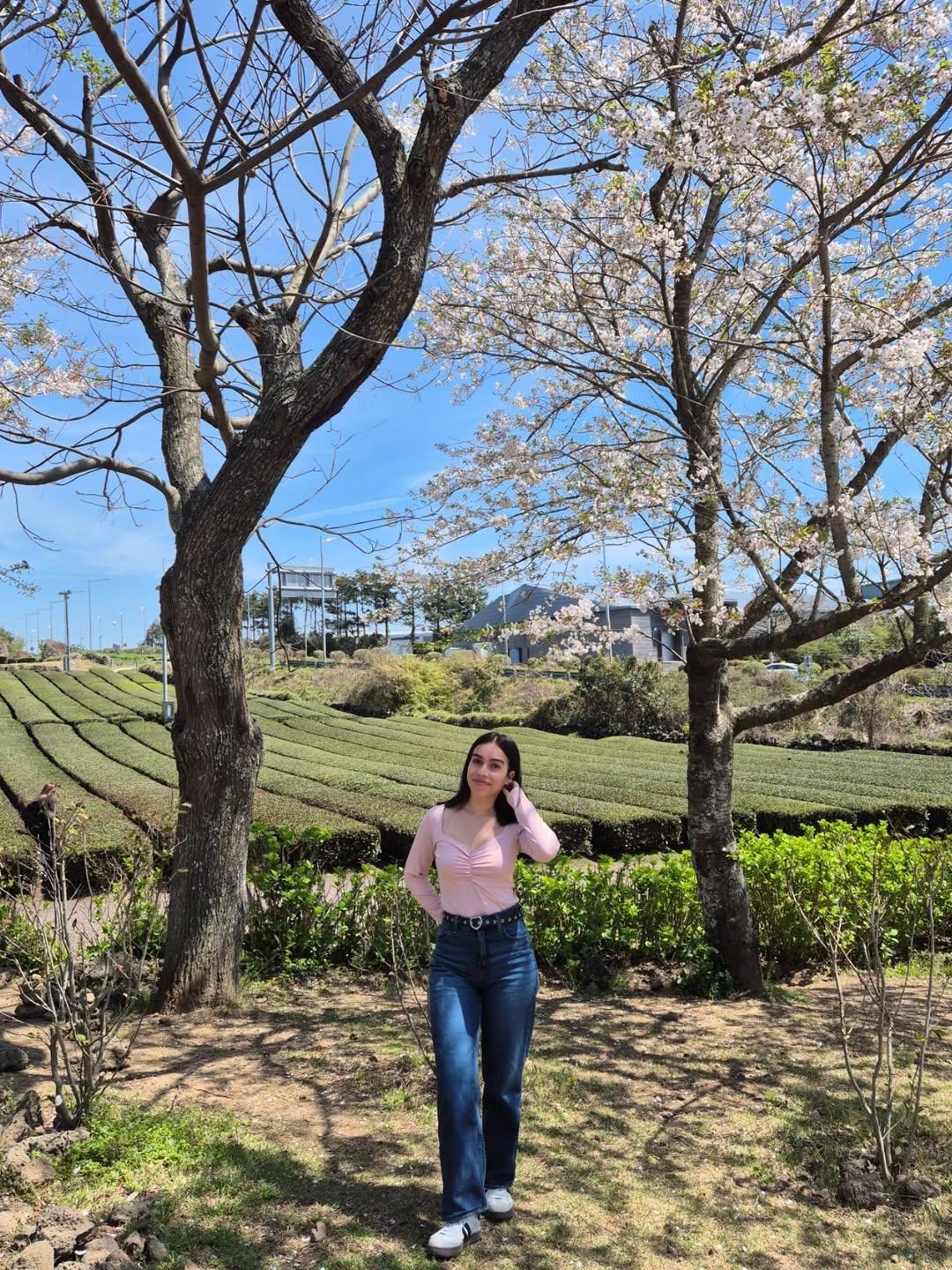 Instagram post by @aliisontatiana