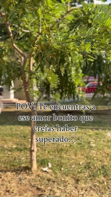 Instagram post by @belemhhernandez
