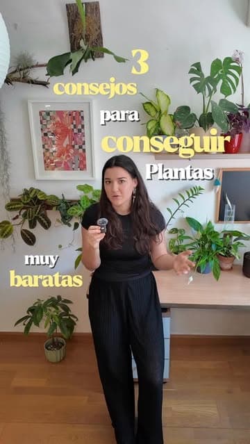 Instagram post by @blanca.variegada