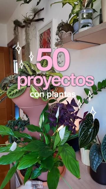 Instagram post by @blanca.variegada
