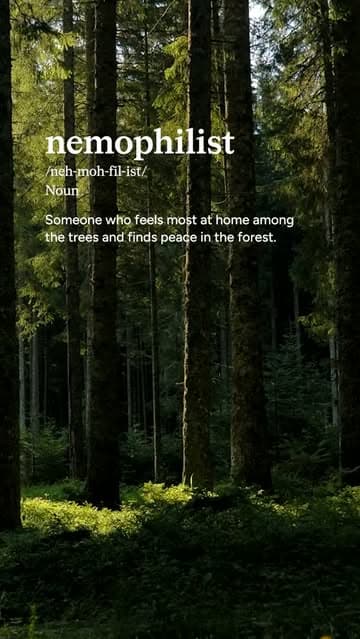 Instagram post by @calm