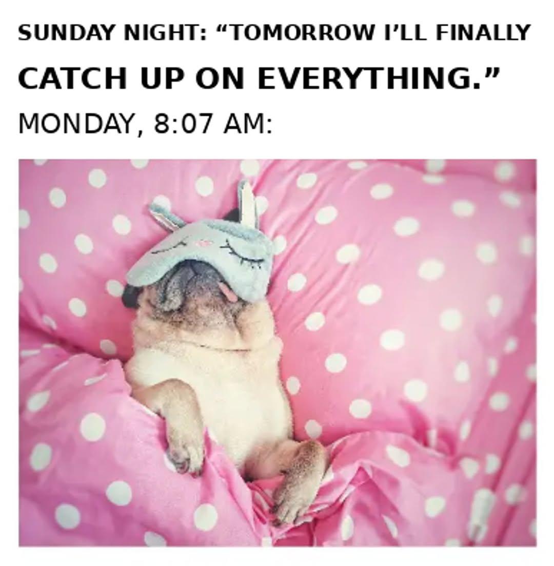 Instagram post by @cargocomedyhub
