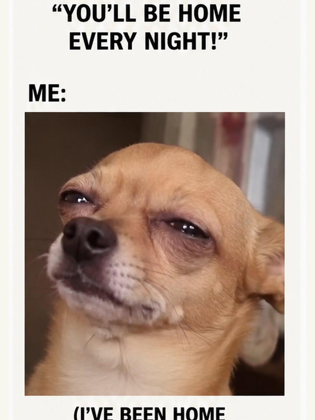 Instagram post by @cargocomedyhub