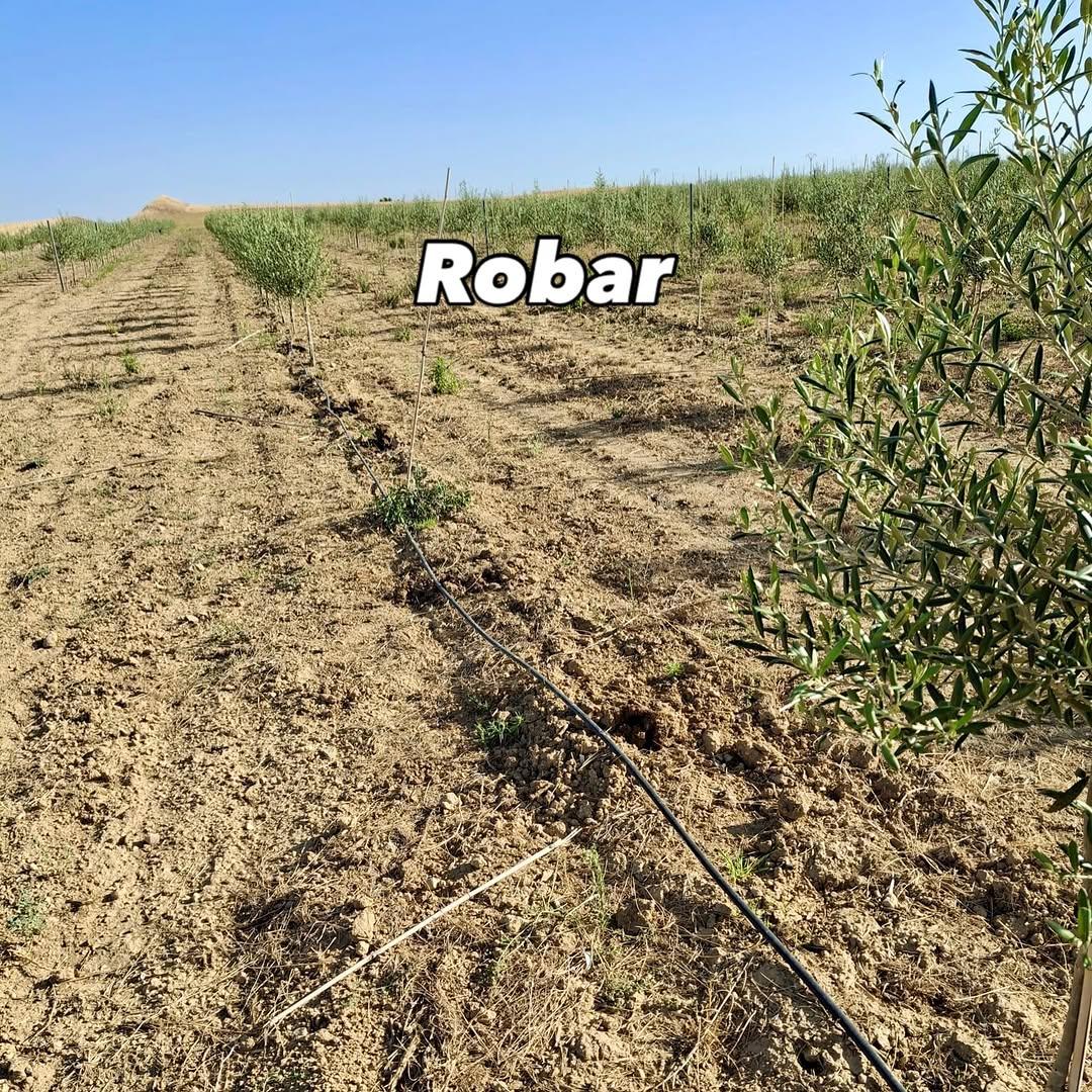 Instagram post by @ceci_agri
