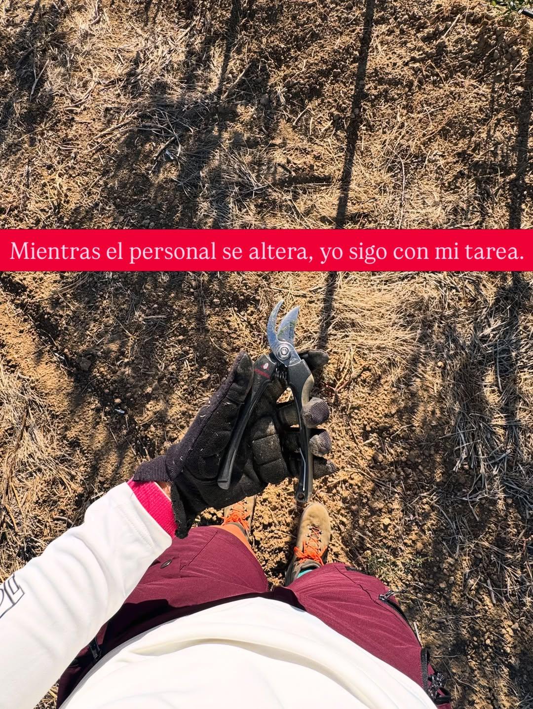 Instagram post by @ceci_agri