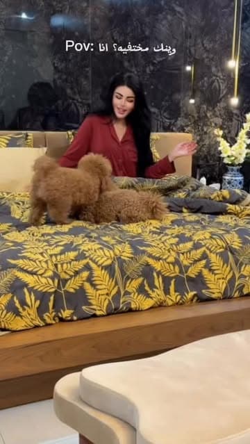 Instagram post by @chadanofficial_