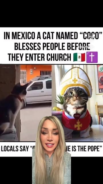 Instagram post by @chattyannieofficial