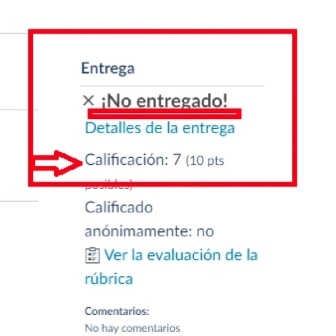 Instagram post by @denunciauniversidadapec