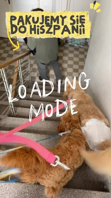 Instagram post by @dotindotin
