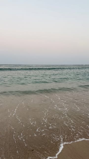 Instagram post by @dxaalia