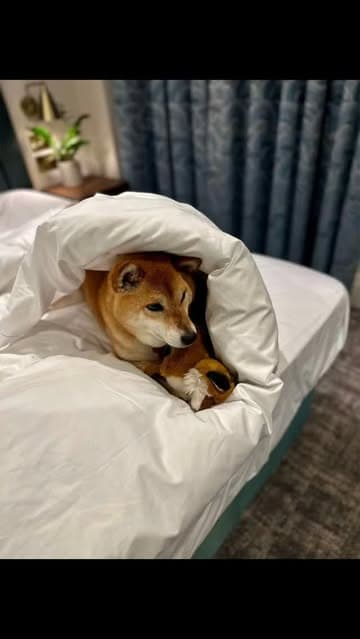 Instagram post by @honeygoldenpot