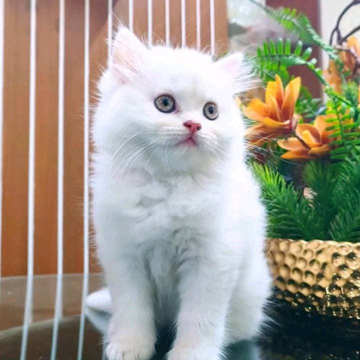 Instagram post by @iman_ih41