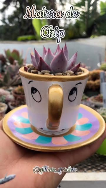 Instagram post by @itsgigigarden