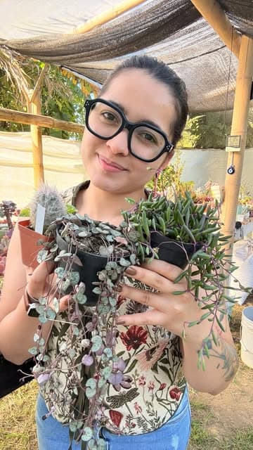 Instagram post by @itsgigigarden