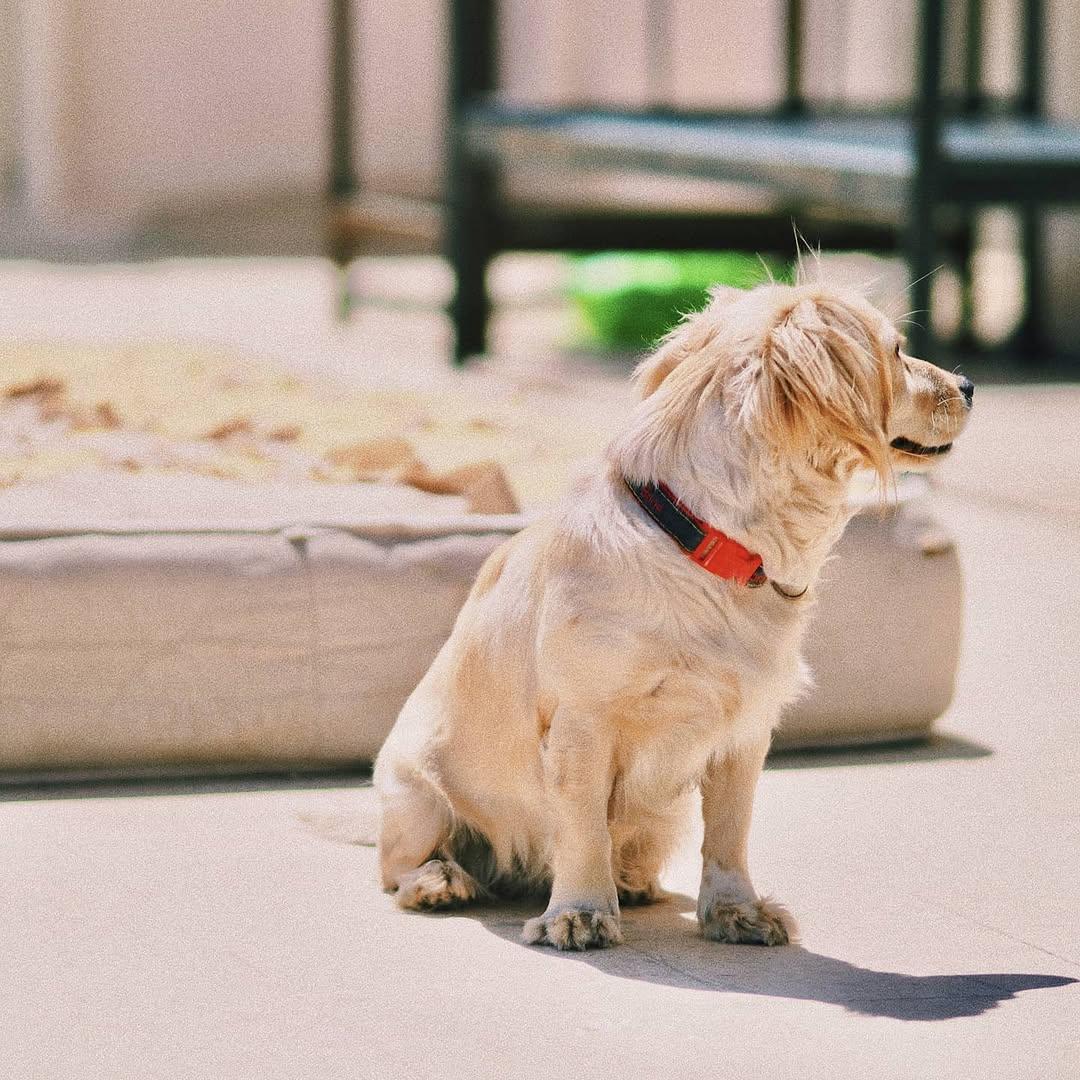 Instagram post by @jonathann_zhu