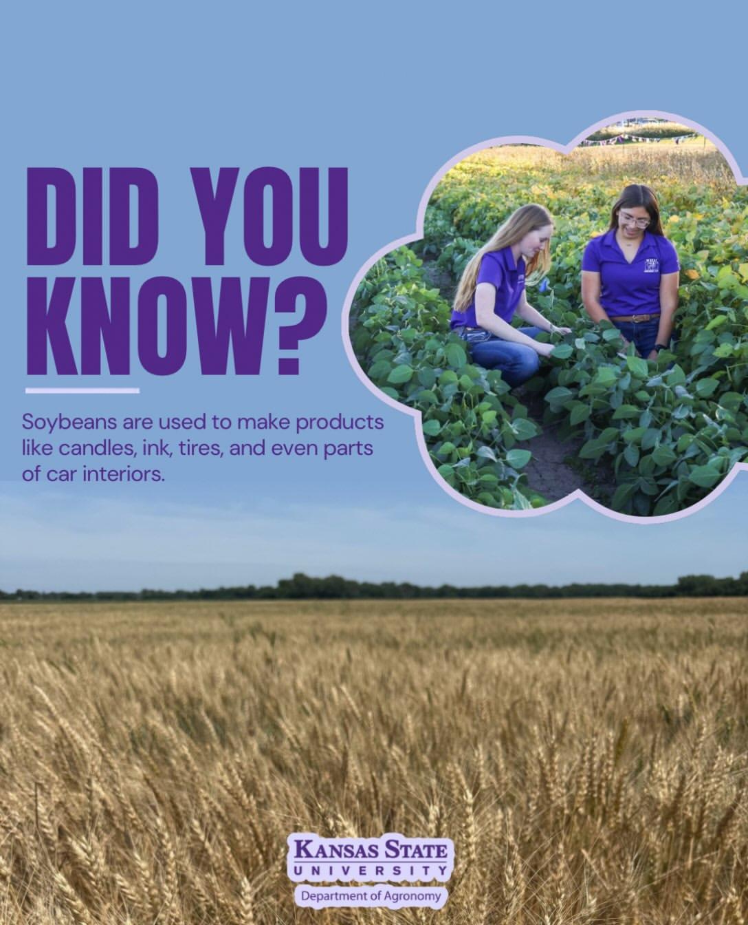 Instagram post by @ksuagronomy