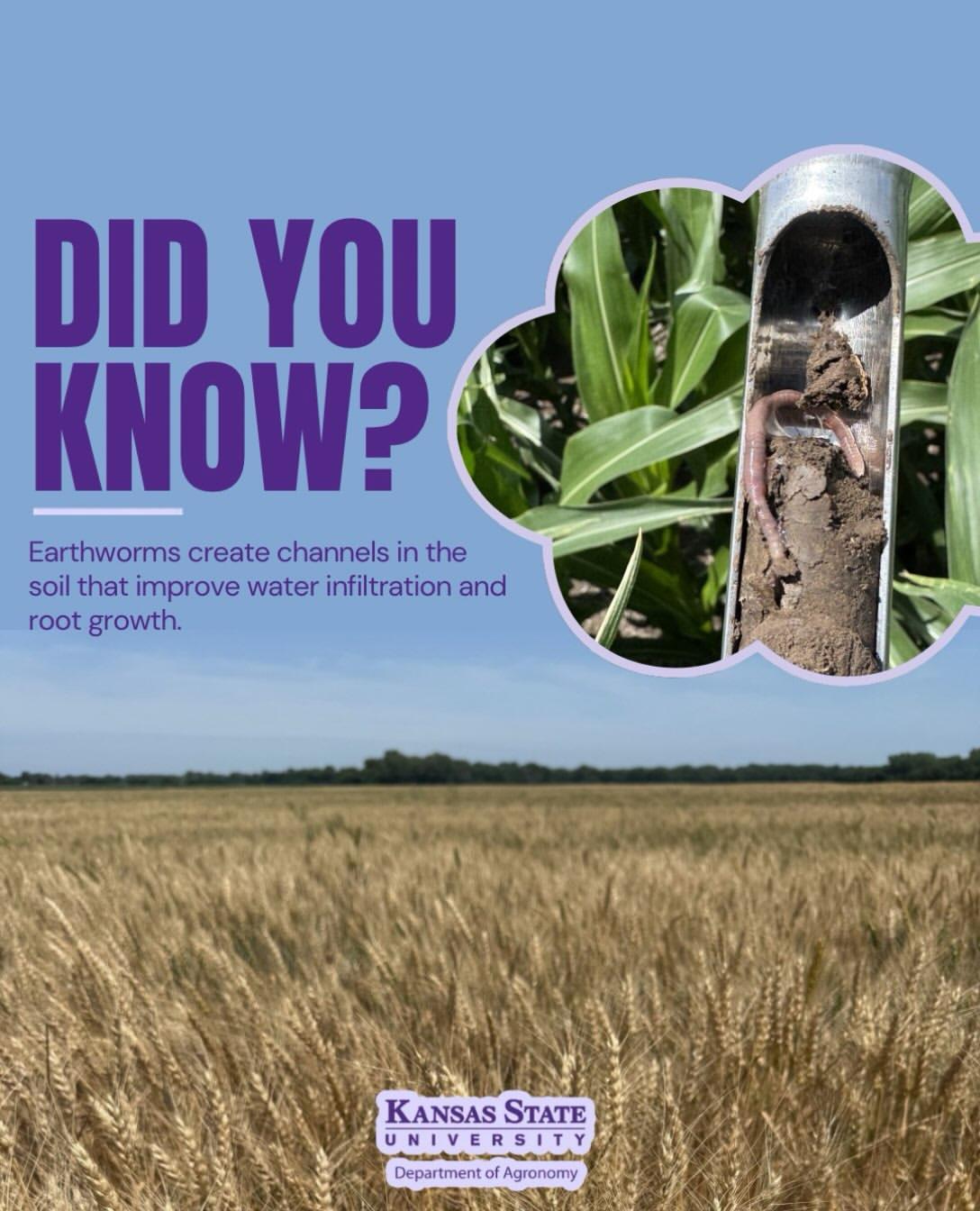 Instagram post by @ksuagronomy