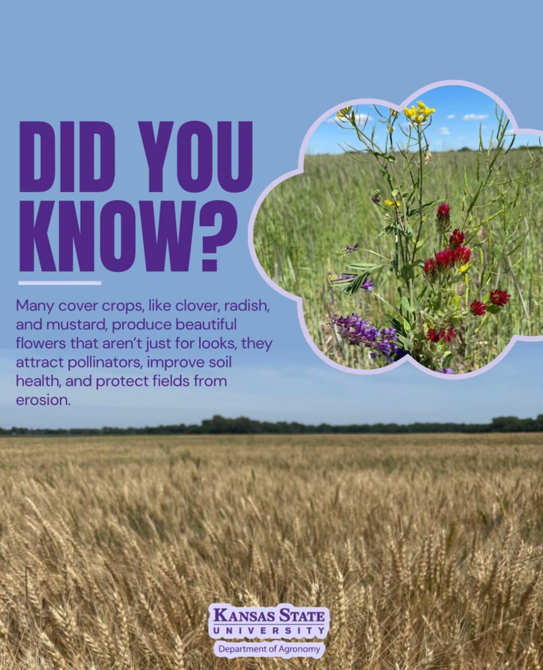 Instagram post by @ksuagronomy