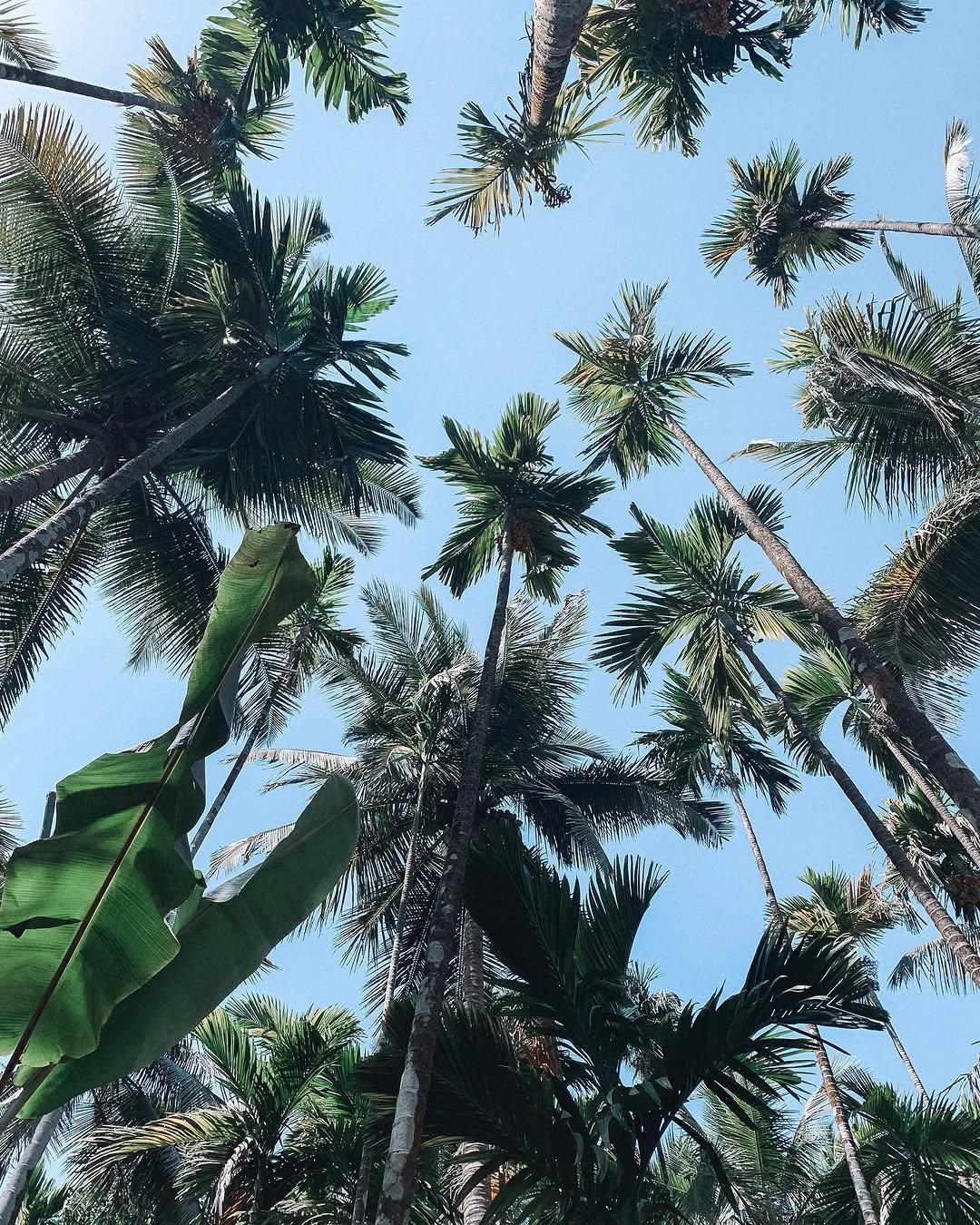 Instagram post by @leilaandrews