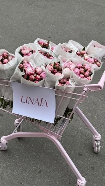 Instagram post by @linaia.co
