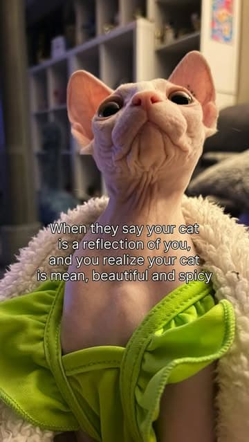 Instagram post by @nakedandeducated