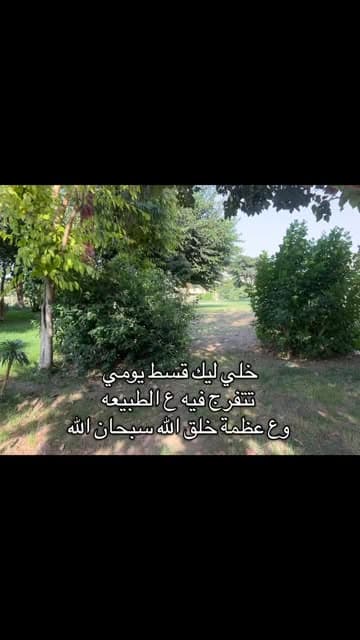 Instagram post by @nehalelsamoly