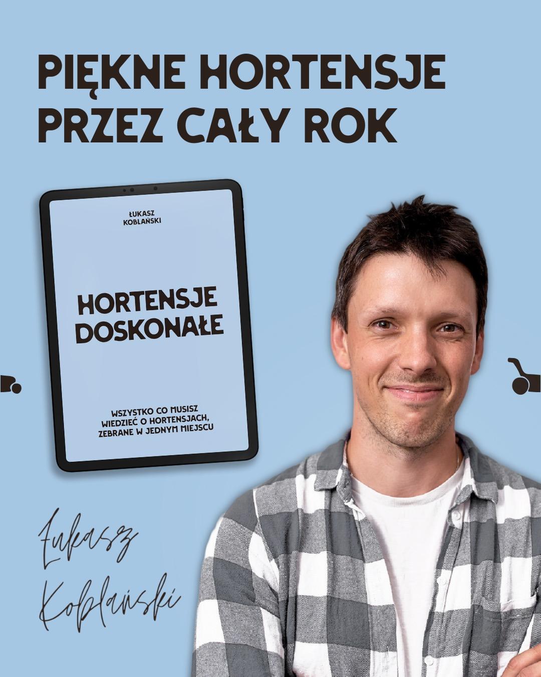 pielęgnacja hortensji w ogrodzie i na balkonie