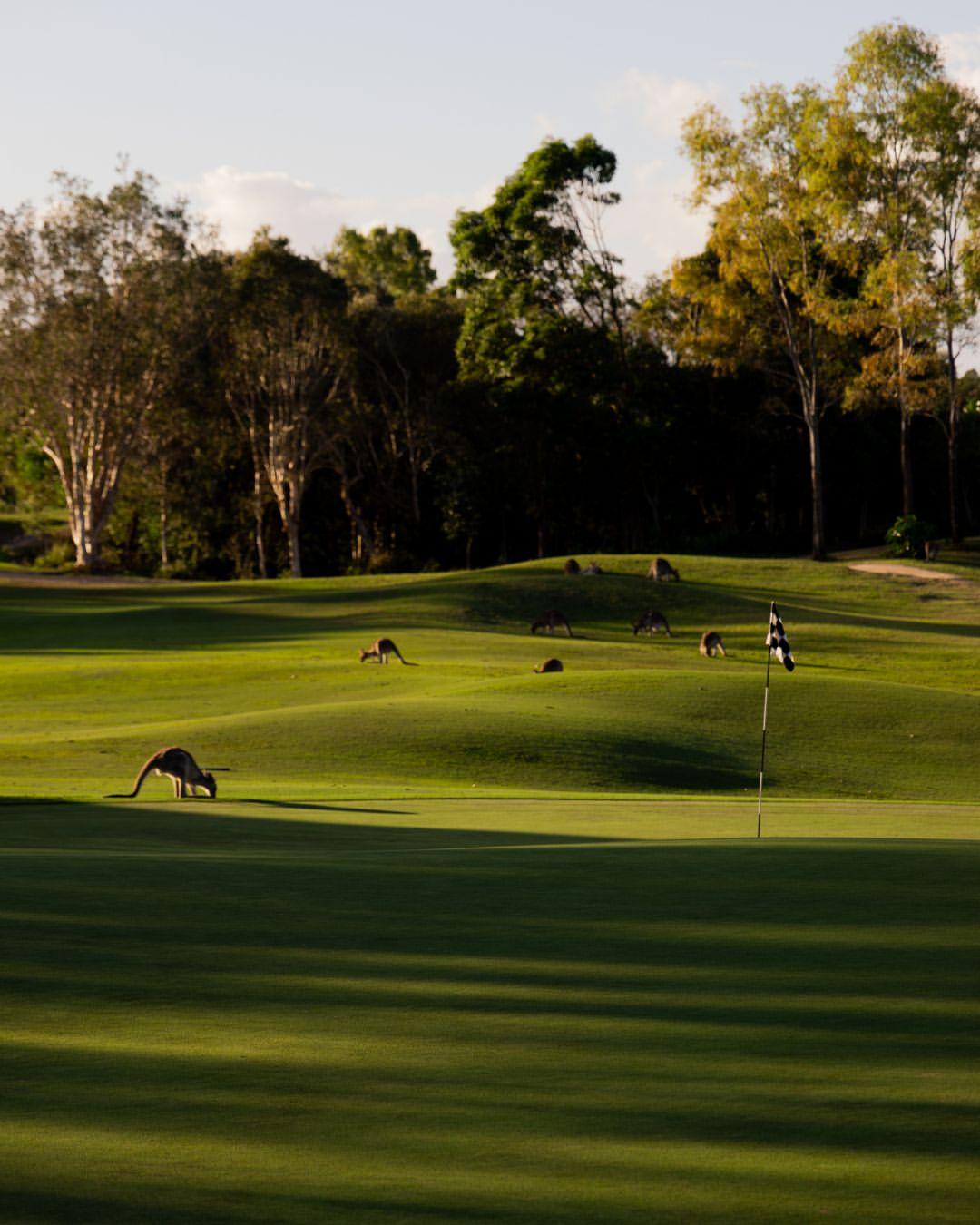 Instagram post by @pacificharbourgolfclub