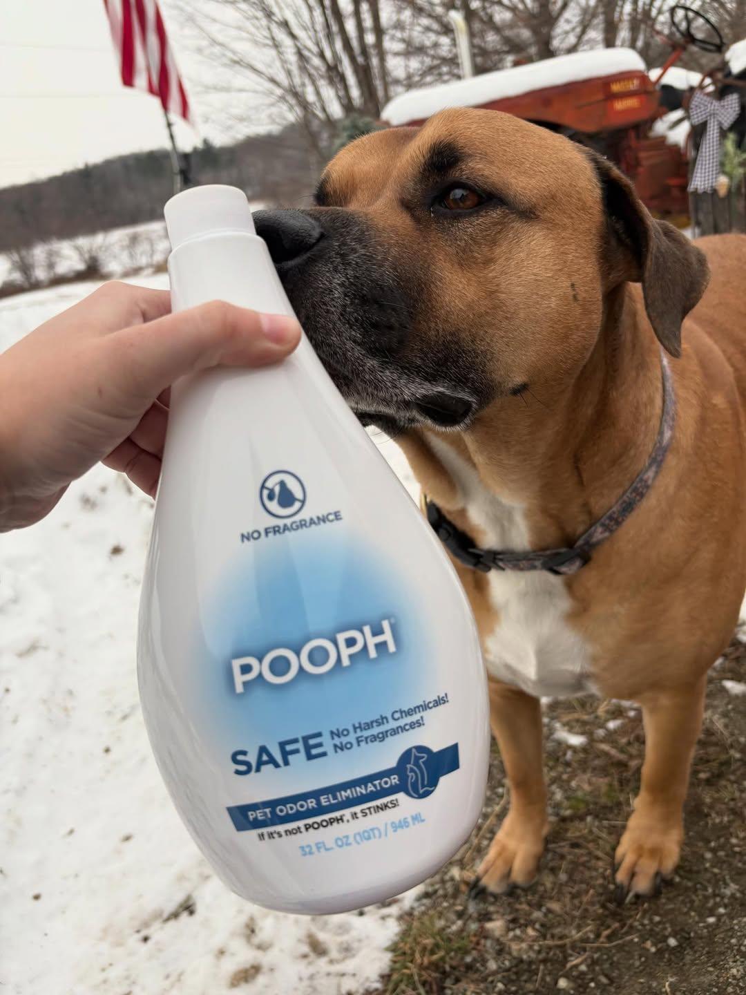 Instagram post by @poophworld