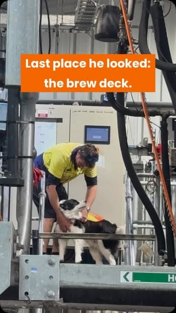 Instagram post by @rockyridgebrewing