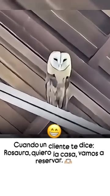 Instagram post by @rosaura.remax2mil