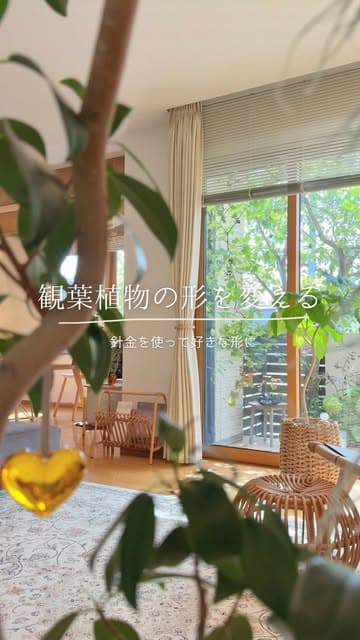 Instagram post by @ryuryu_home