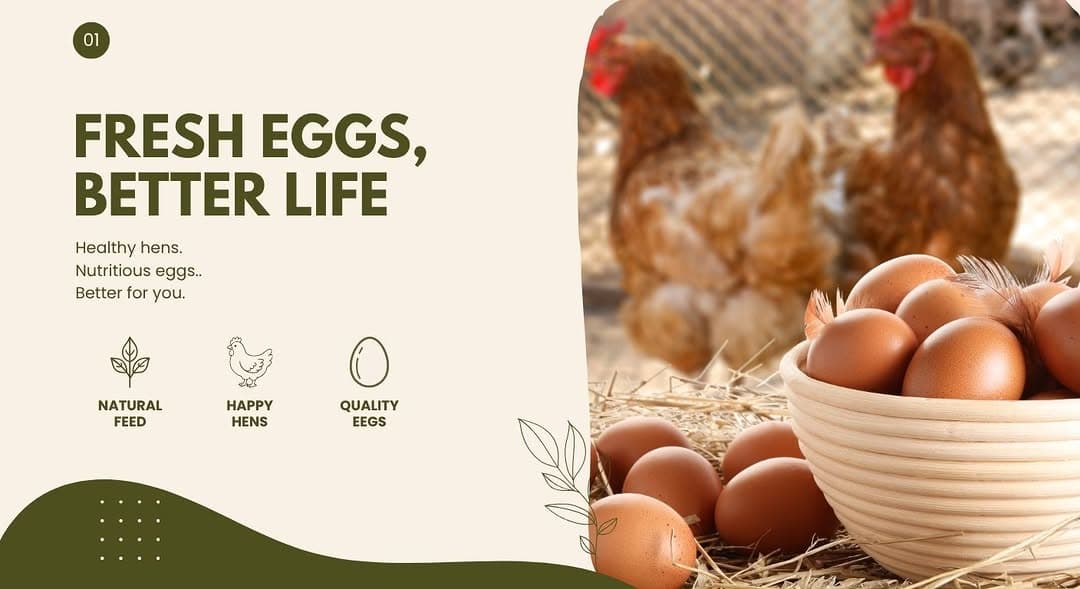 Instagram post by @shreshtafarm