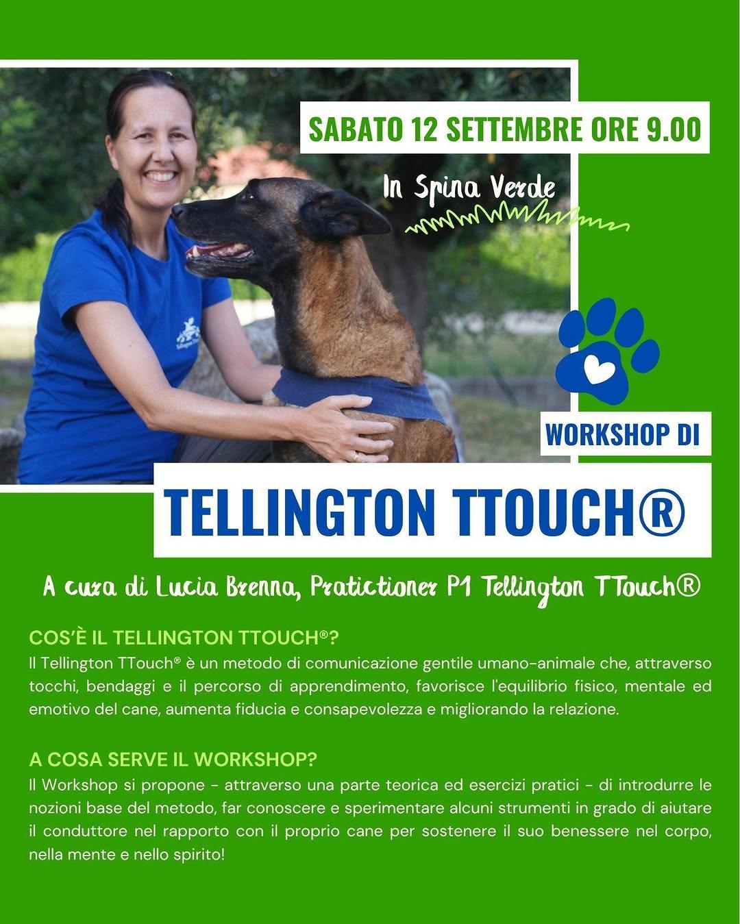 Sabato 12 settembre  Workshop di Tellington TTouch® in Valbasca
