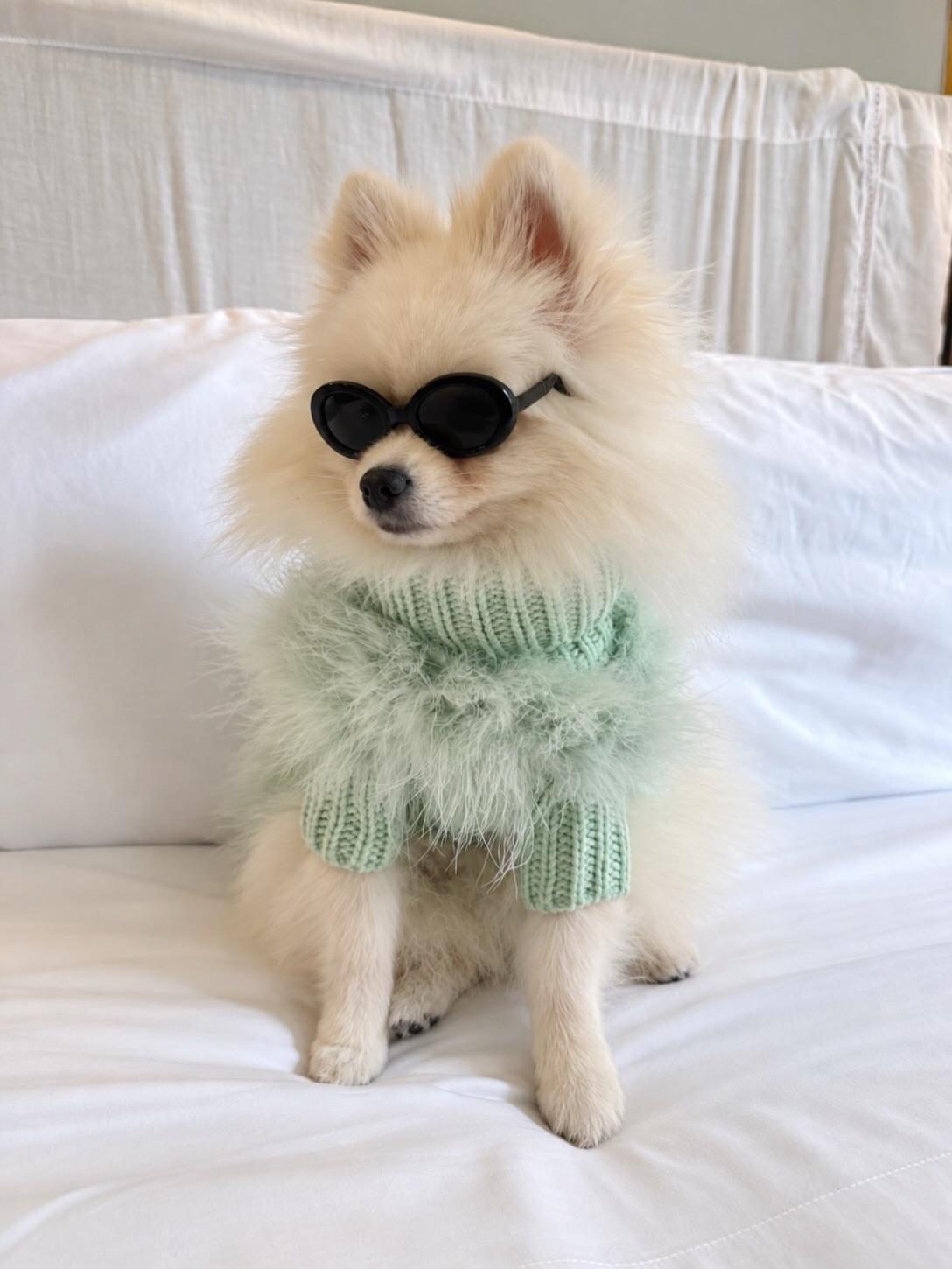 Instagram post by @themaxbone