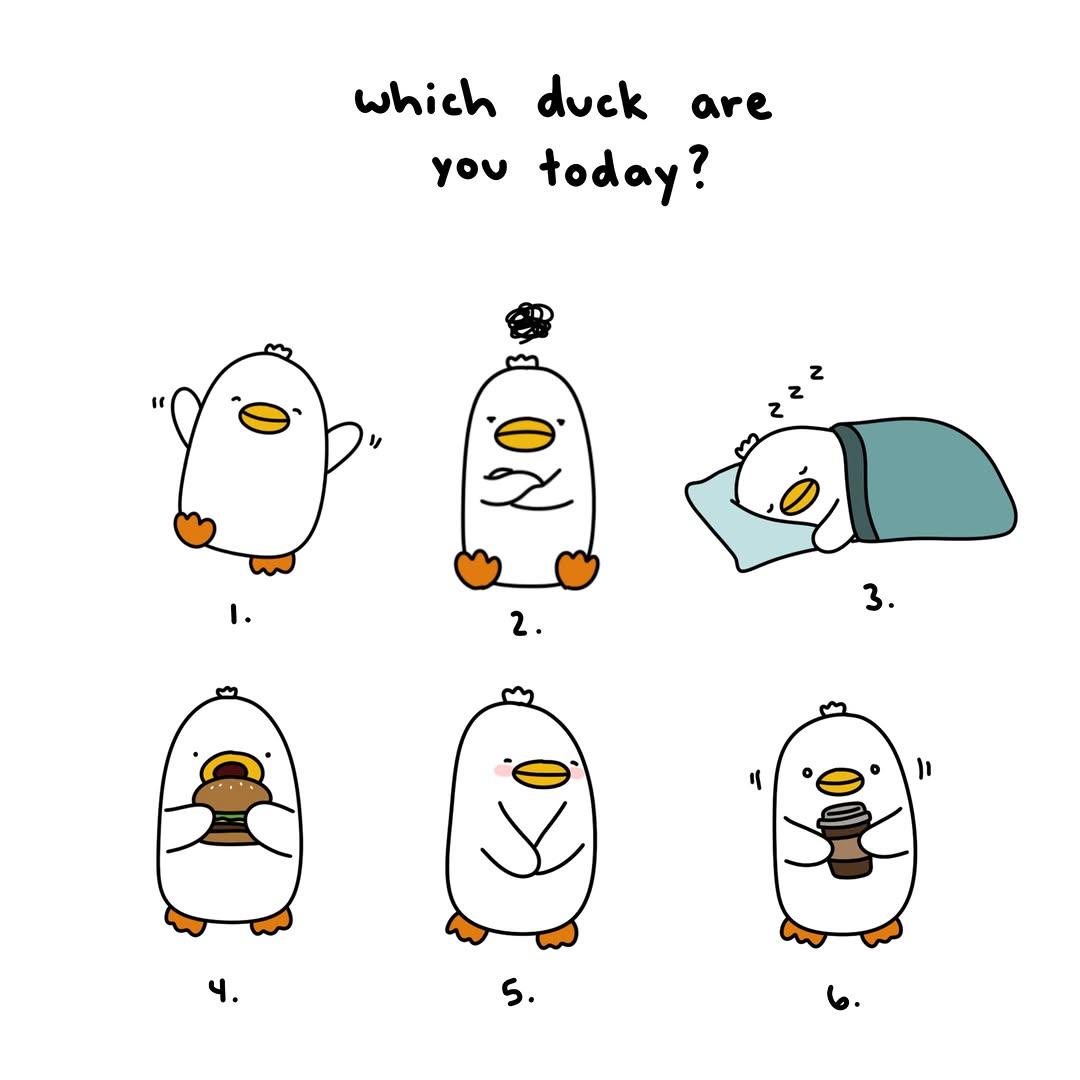 Instagram post by @theprincessduck