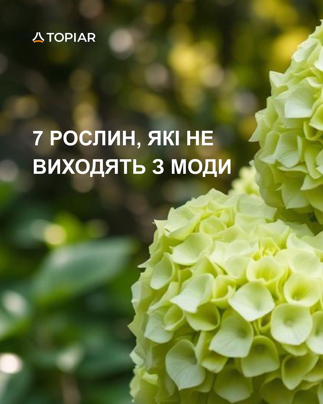 #TOPIAR
#газон #приватнийбудинок #київ
#благоустрій #ландшафтнийдизайн  #ландшафткиїв #озеленення #ландшафтнийдизайнер #ландшафт #ландшафтукраина #ландшафтнакомпанія #красивийсад #купуйукраїнське #альтанка #автополив