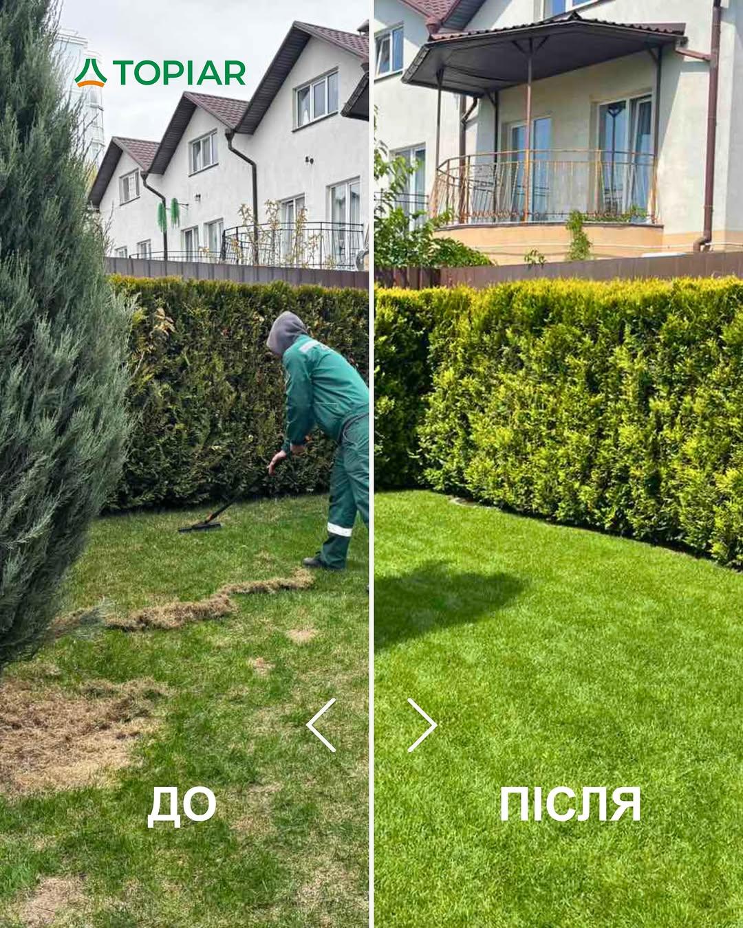 #TOPIAR
#газон #приватнийбудинок #київ
#благоустрій #ландшафтнийдизайн  #ландшафткиїв #озеленення #ландшафтнийдизайнер #ландшафт #ландшафтукраина #ландшафтнакомпанія #красивийсад #купуйукраїнське #альтанка #автополив