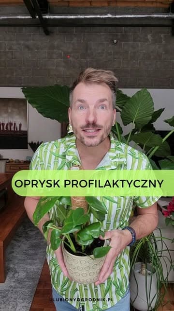 Instagram post by @ulubionyogrodnik