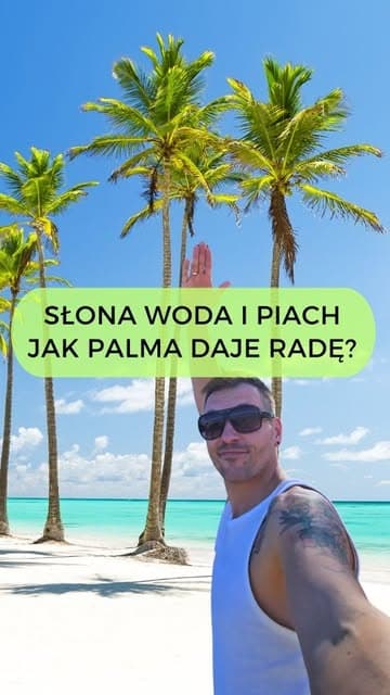 Instagram post by @ulubionyogrodnik