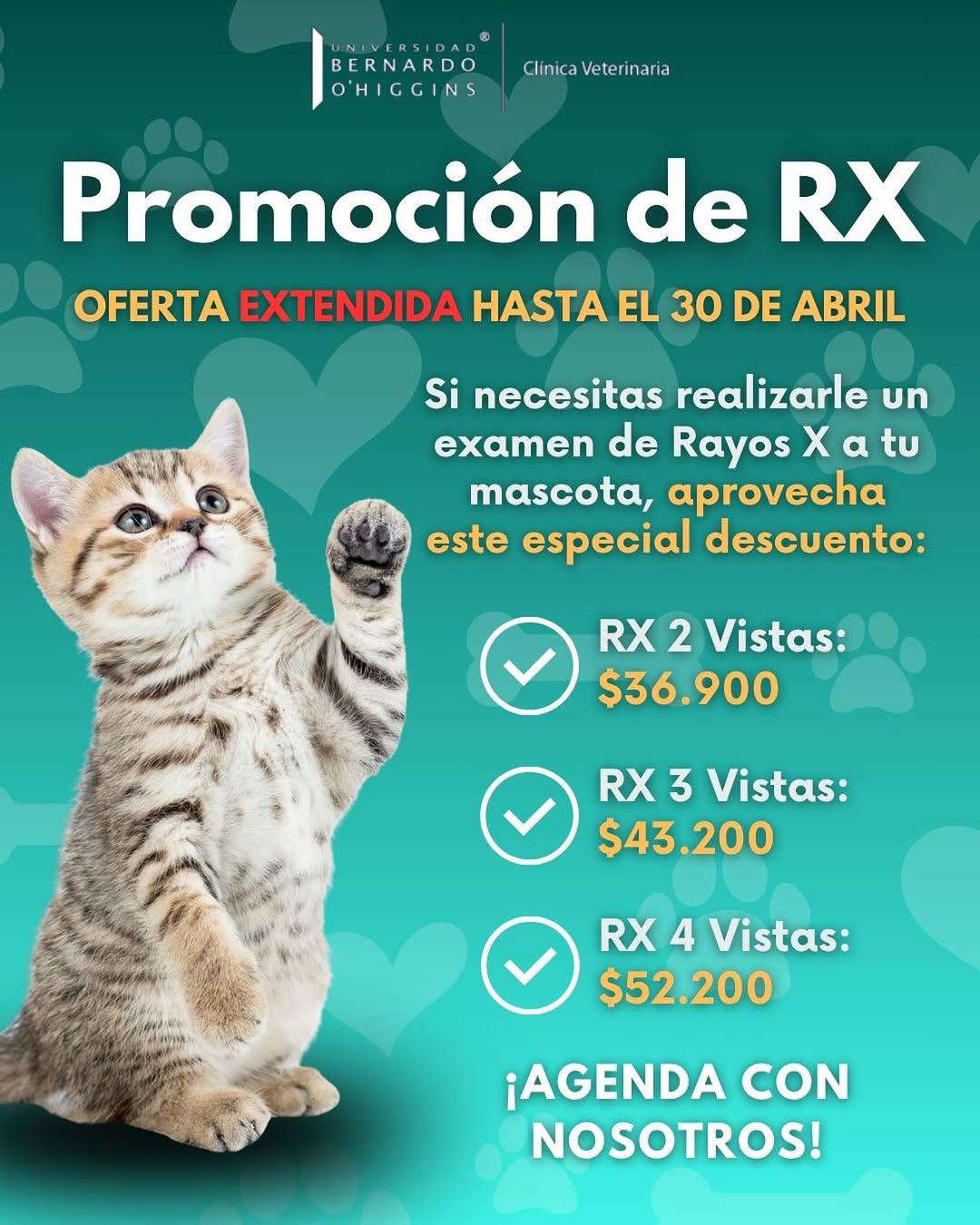 Instagram post by @veterinariaubo