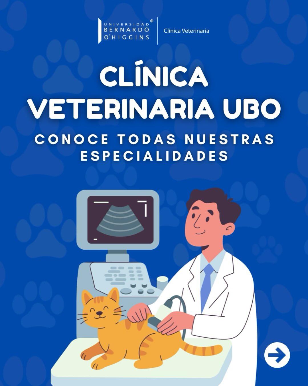 Instagram post by @veterinariaubo