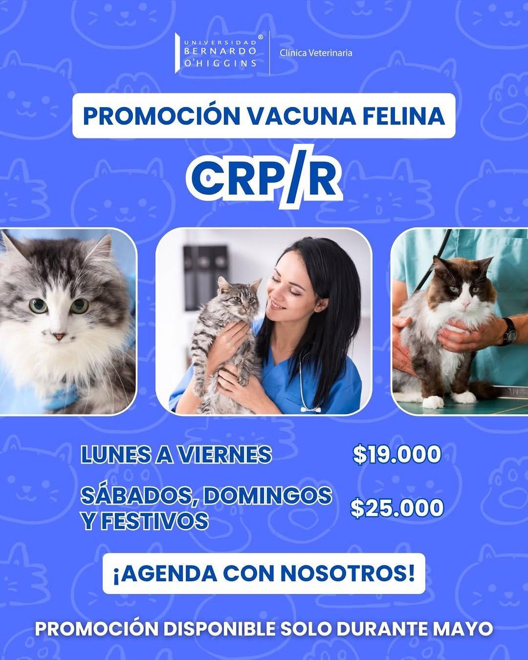 Instagram post by @veterinariaubo