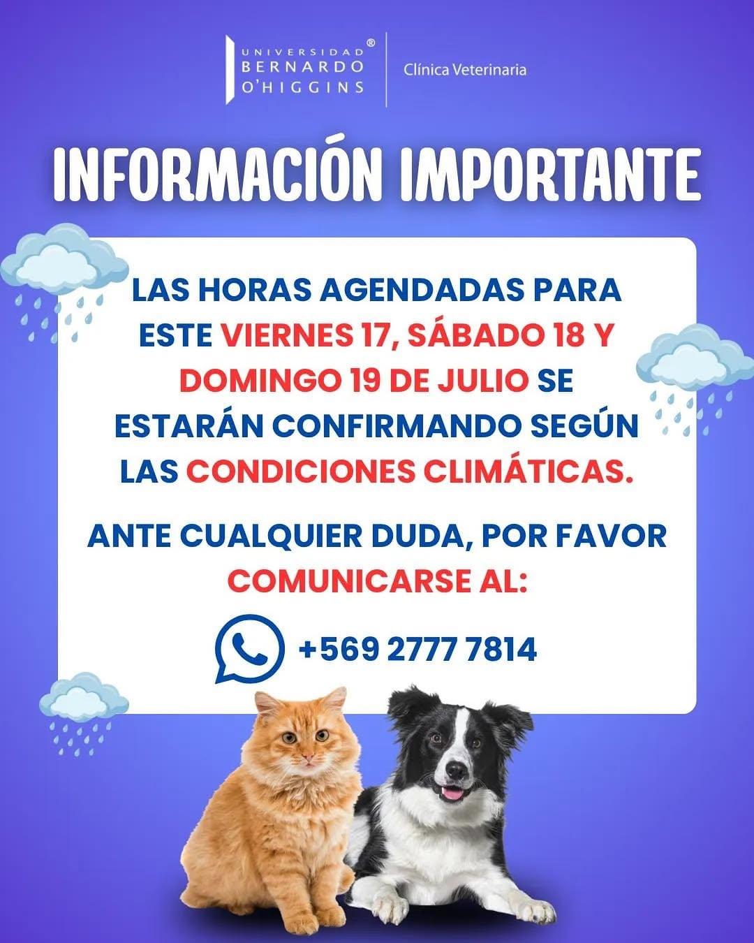 Instagram post by @veterinariaubo