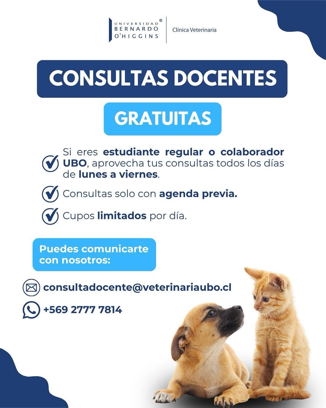 Instagram post by @veterinariaubo