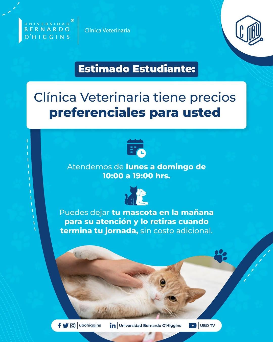 Instagram post by @veterinariaubo