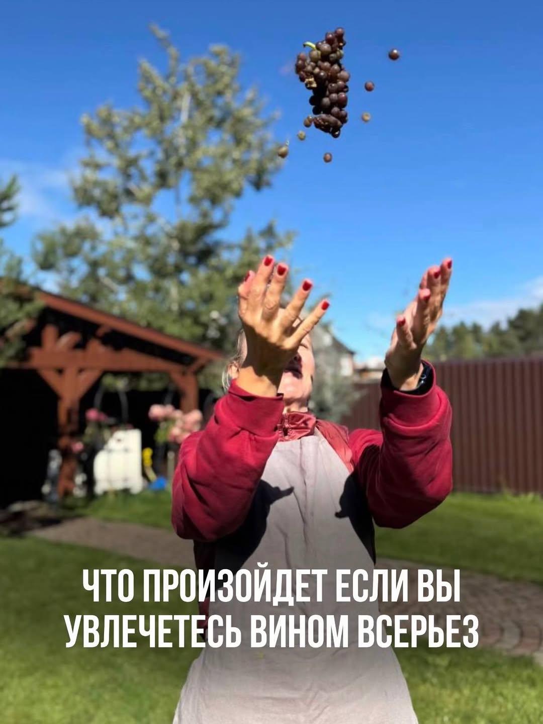 Instagram post by @vino_why_no
