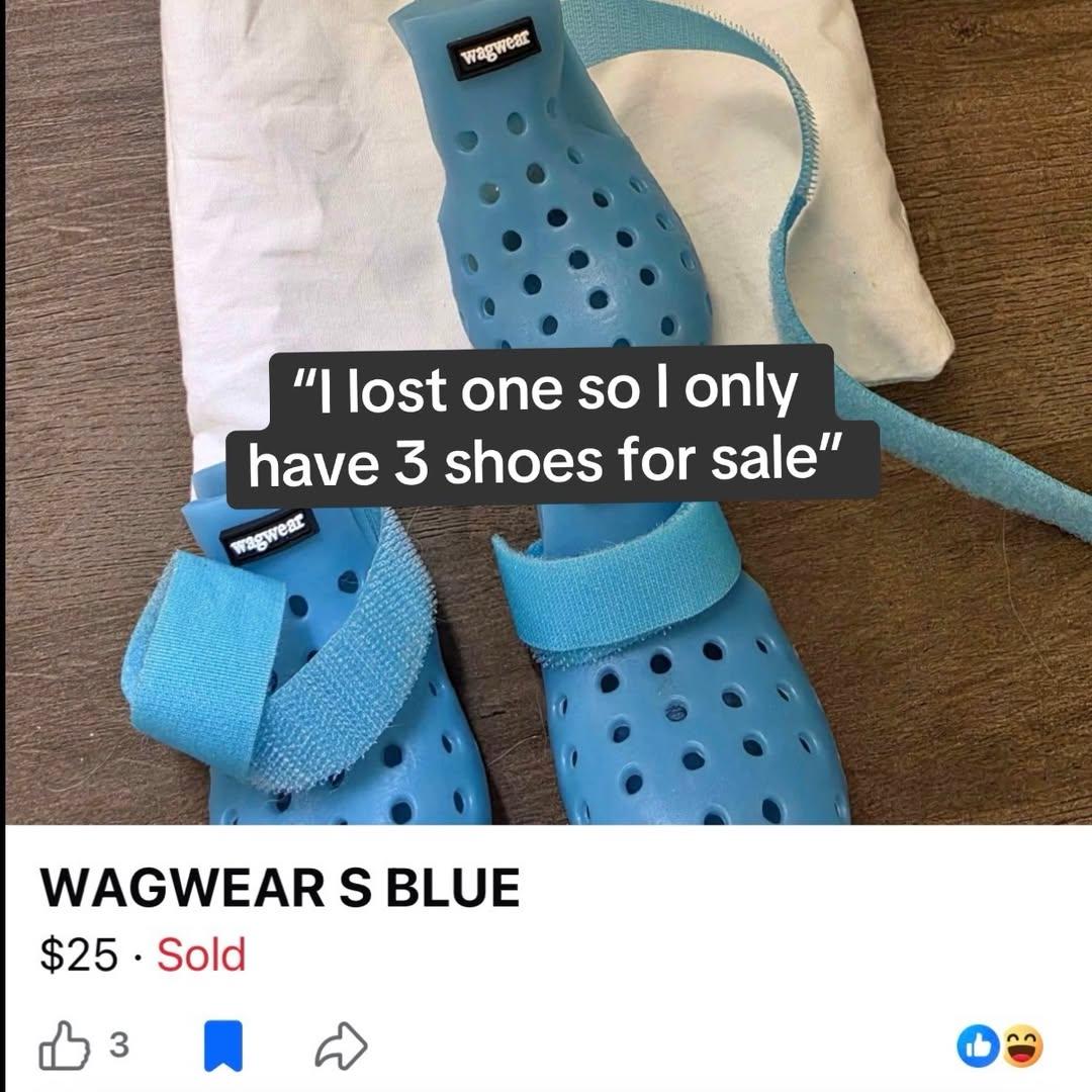 Instagram post by @wagwear