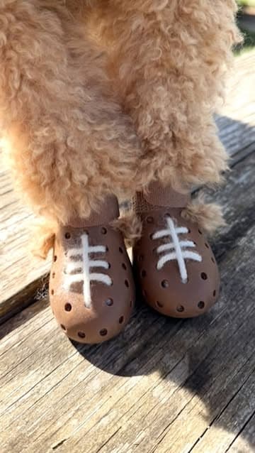 Instagram post by @wagwear