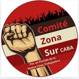comite.zona.sur.caba